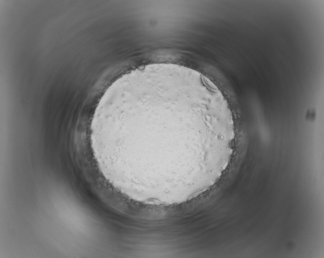 X0000110960381200907311112