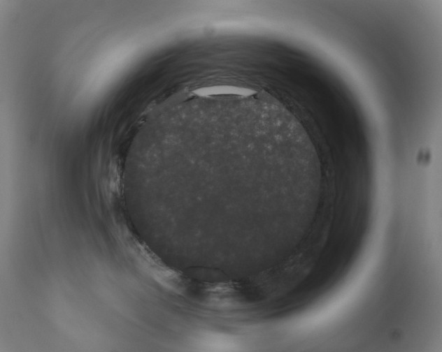X0000110960382200907311112