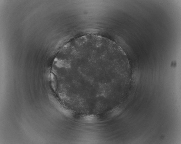 X0000110960383200907311112