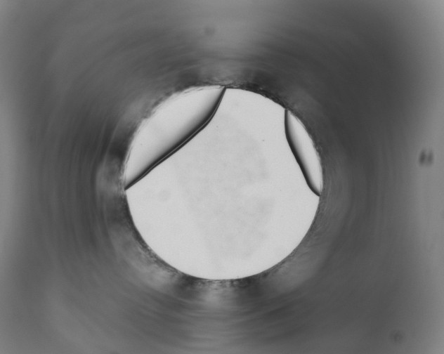 X0000110960384200907311112