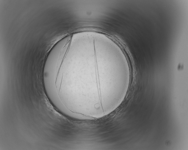 X0000110960385200907311111