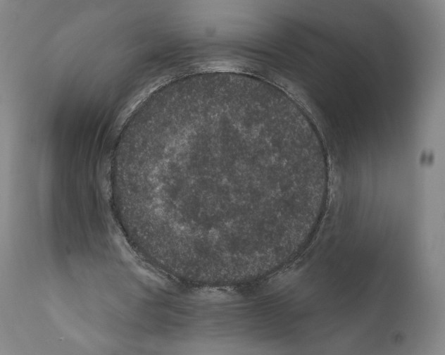 X0000110960386200907311111