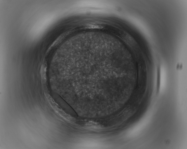 X0000110960387200907311111