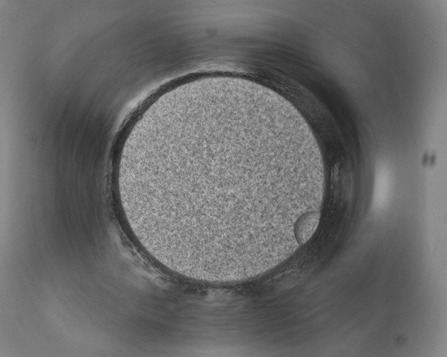 X0000110960388200907311111