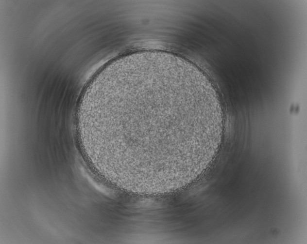 X0000110960390200907311111