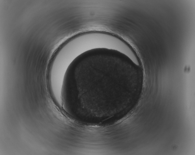 X0000110960391200907311111