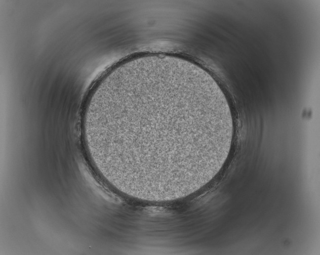 X0000110960392200907311111