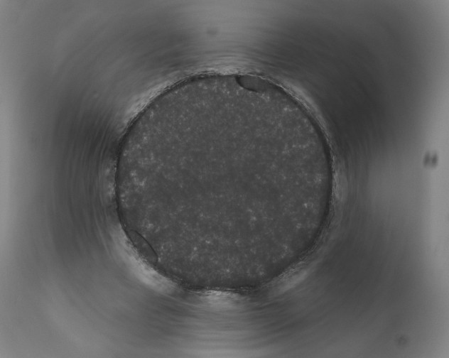 X0000110960393200907311111