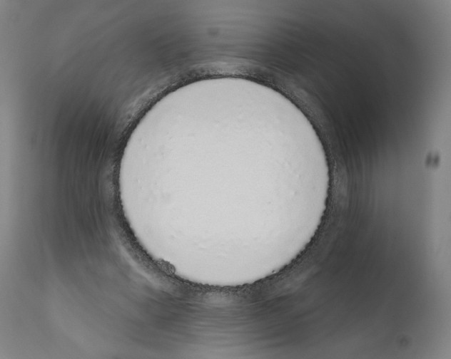 X0000110960394200907311111