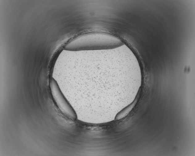 X0000110960395200907311111
