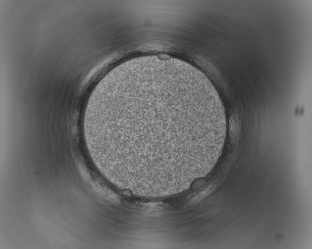X0000110960396200907311111