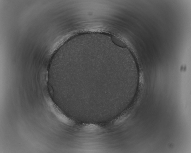 X0000110960397200907311111