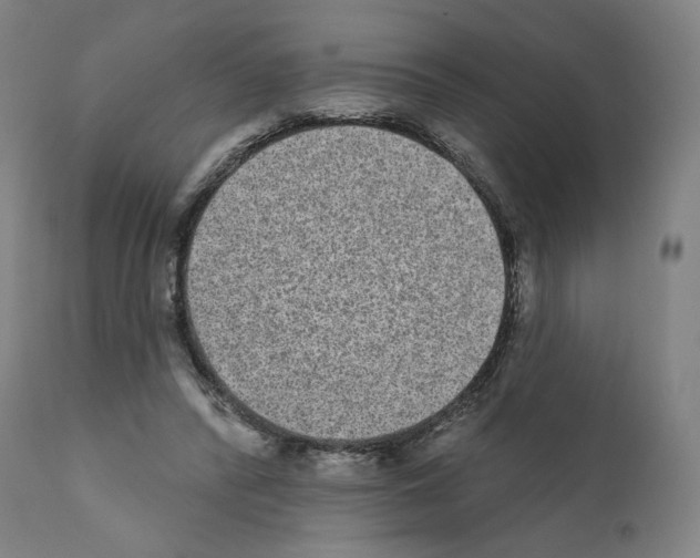 X0000110960400200907311111