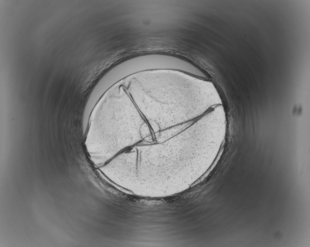 X0000110960401200907311111