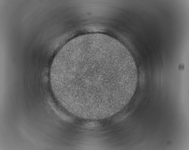 X0000110960402200907311111