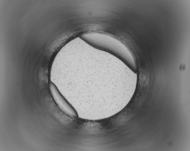 X0000110960403200907311111