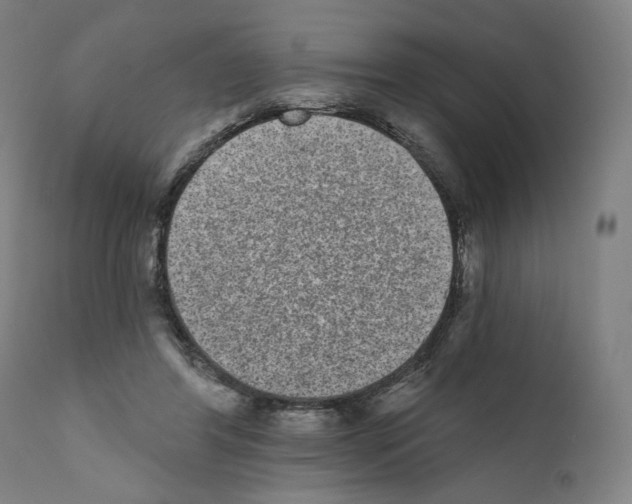 X0000110960404200907311111