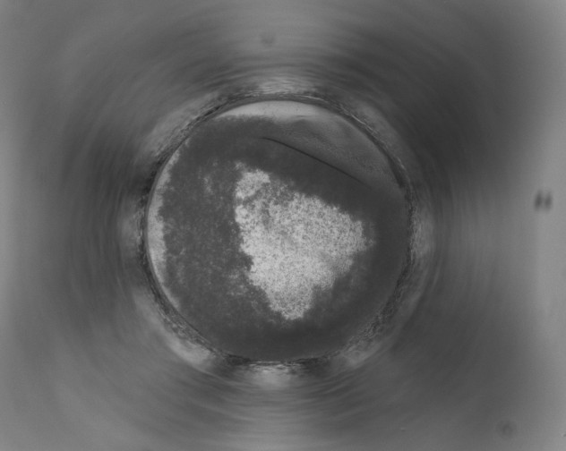 X0000110960405200907311111