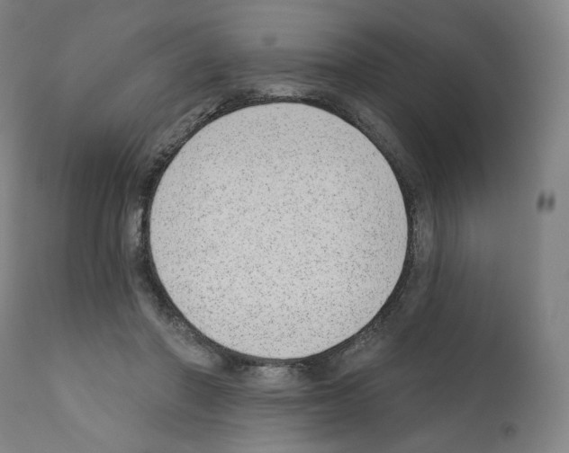 X0000110960406200907311111