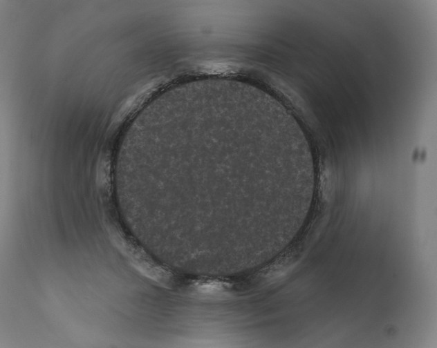 X0000110960407200907311111
