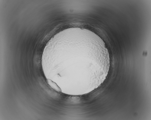 X0000110960409200907311111