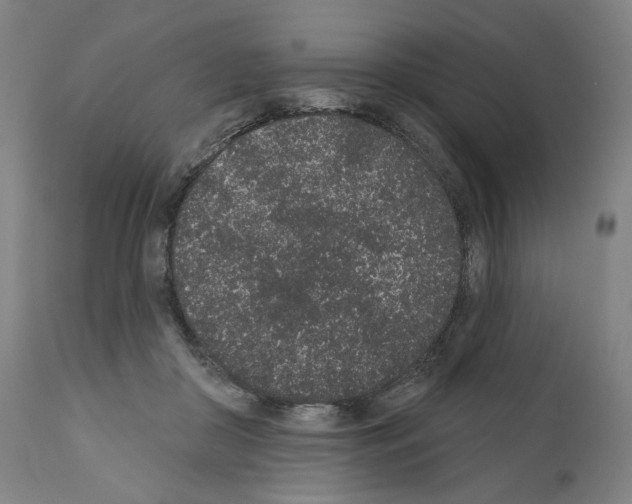 X0000110960410200907311111