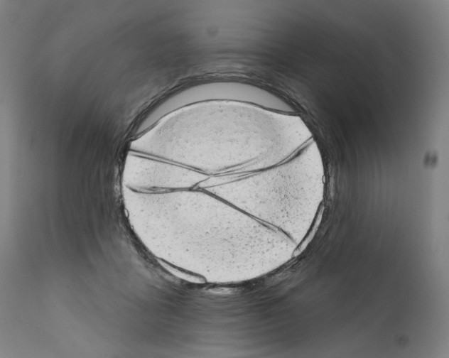 X0000110960411200907311111