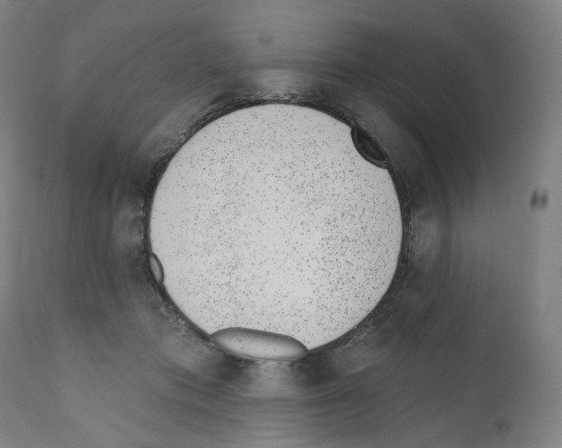 X0000110960413200907311111
