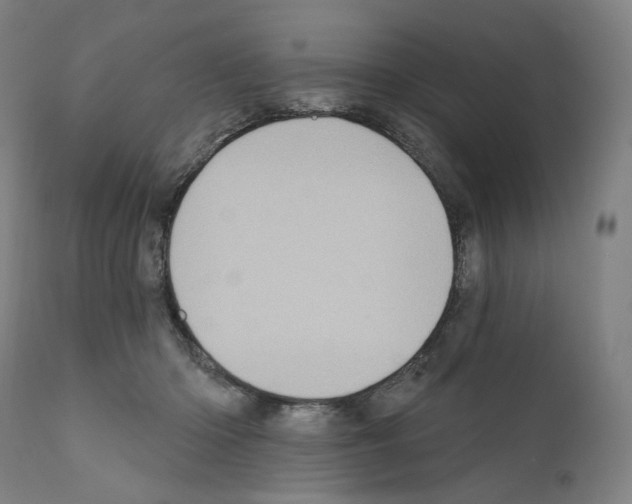 X0000110960414200907311111