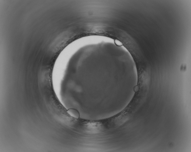 X0000110960415200907311111