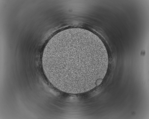 X0000110960416200907311111