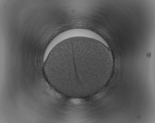 X0000110960417200907311111