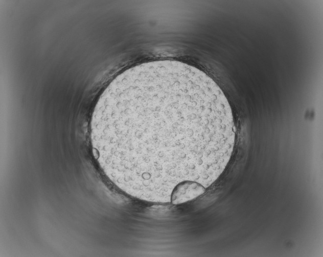 X0000110960418200907311111