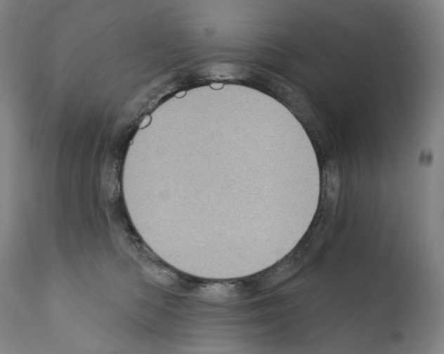 X0000110960422200907311111