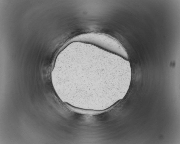 X0000110960425200907311111