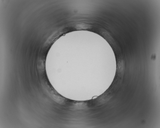 X0000110960426200907311111