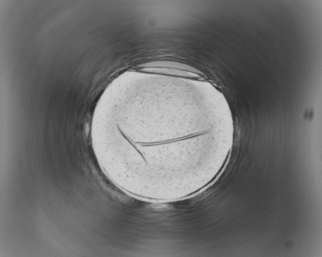 X0000110960427200907311111