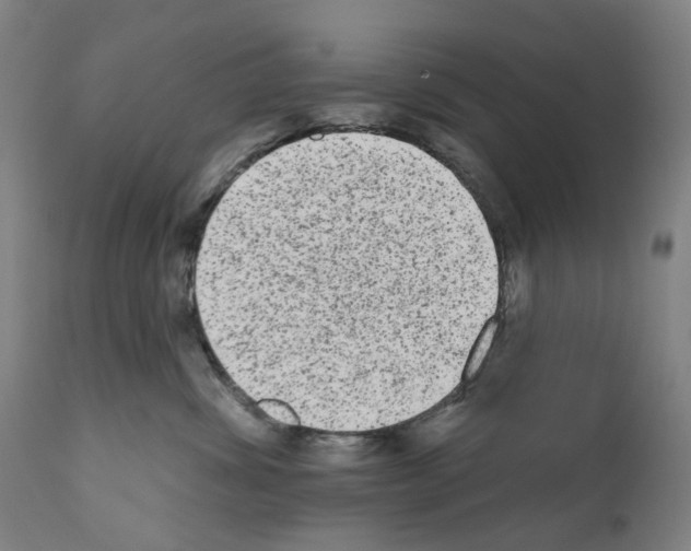 X0000110960428200907311111