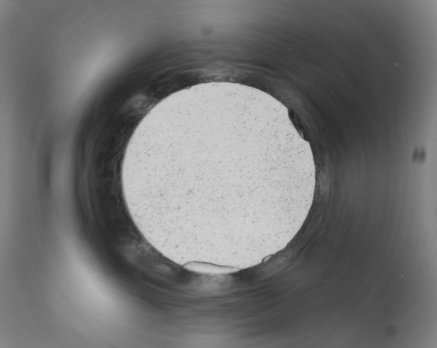 X0000110960429200907311111