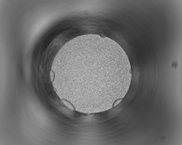 X0000110960430200907311110