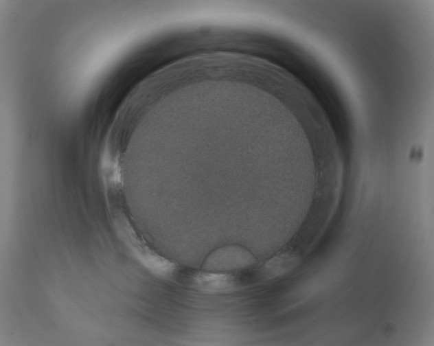 X0000110960431200907311110