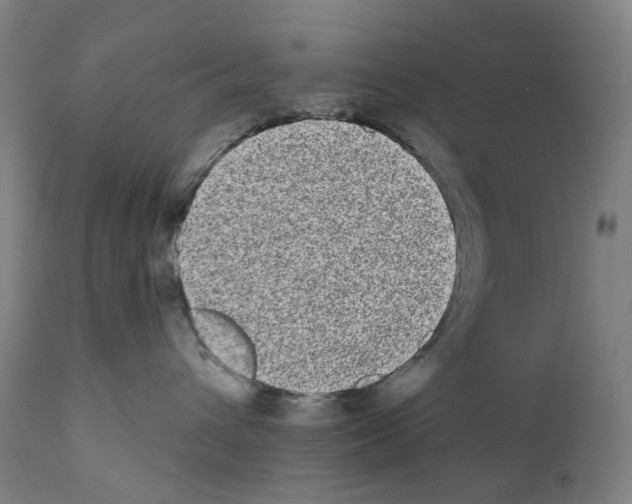 X0000110960432200907311110