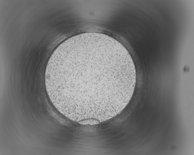 X0000110960433200907311110