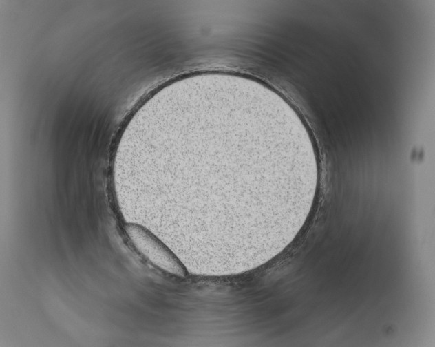 X0000110960434200907311110