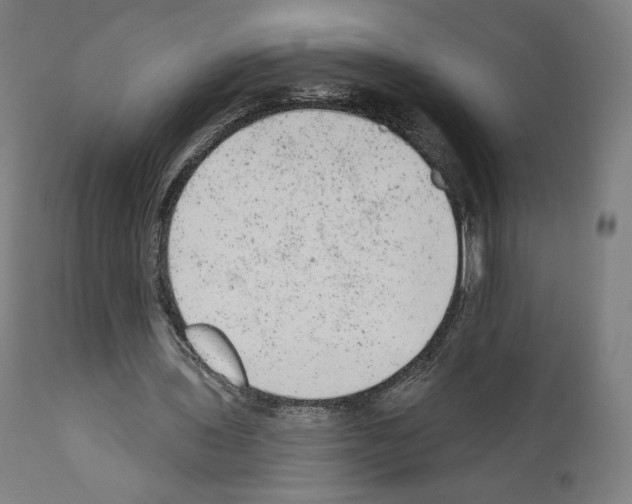 X0000110960435200907311110