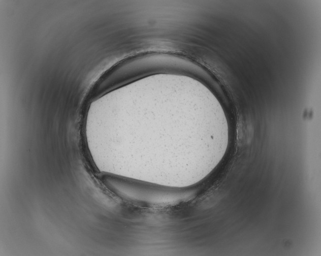 X0000110960436200907311110