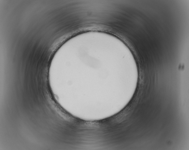 X0000110960437200907311110