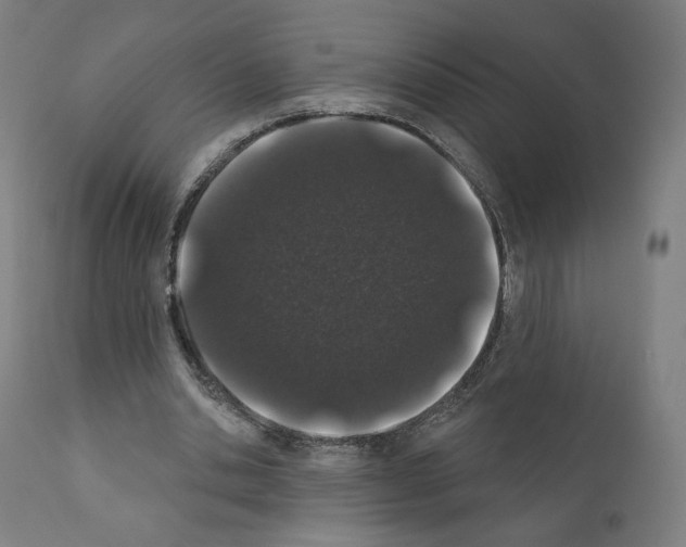 X0000110960438200907311110