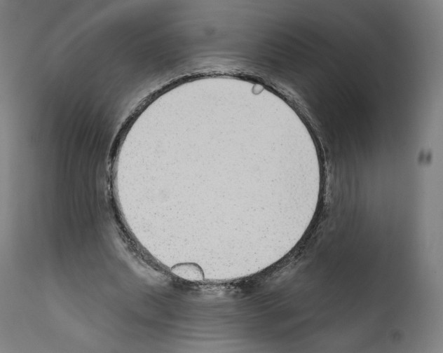 X0000110960439200907311110