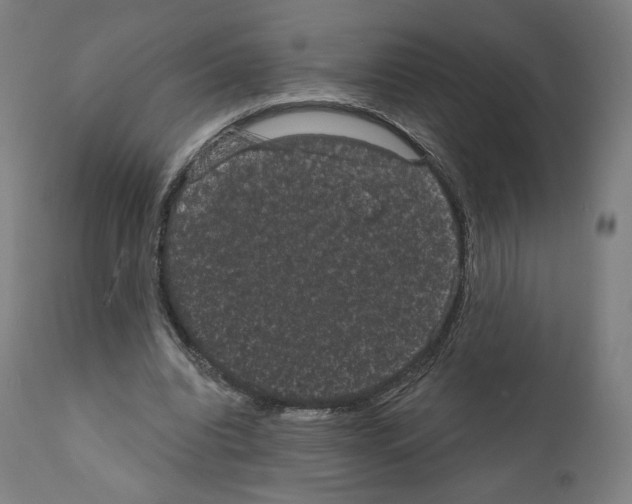 X0000110960440200907311110
